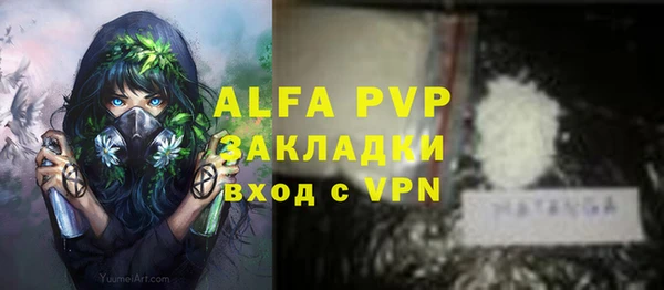 прущие грибы Кулебаки
