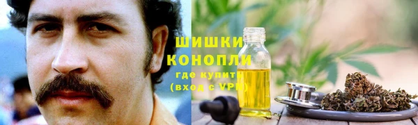 прущие грибы Кулебаки