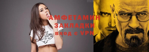 прущие грибы Кулебаки