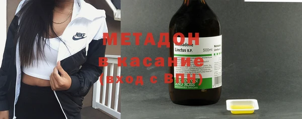 прущие грибы Кулебаки