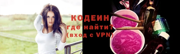 прущие грибы Кулебаки