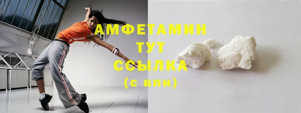 прущие грибы Кулебаки
