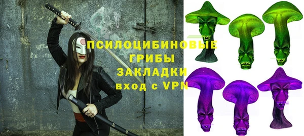 прущие грибы Кулебаки