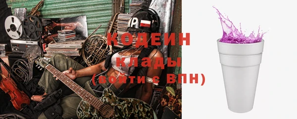 прущие грибы Кулебаки