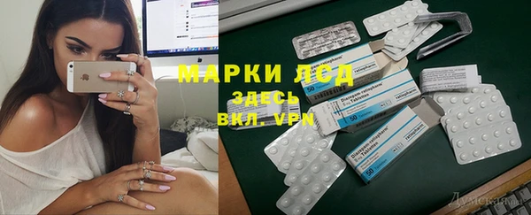 прущие грибы Кулебаки