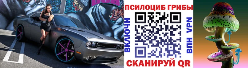 Псилоцибиновые грибы мицелий  Новодвинск 
