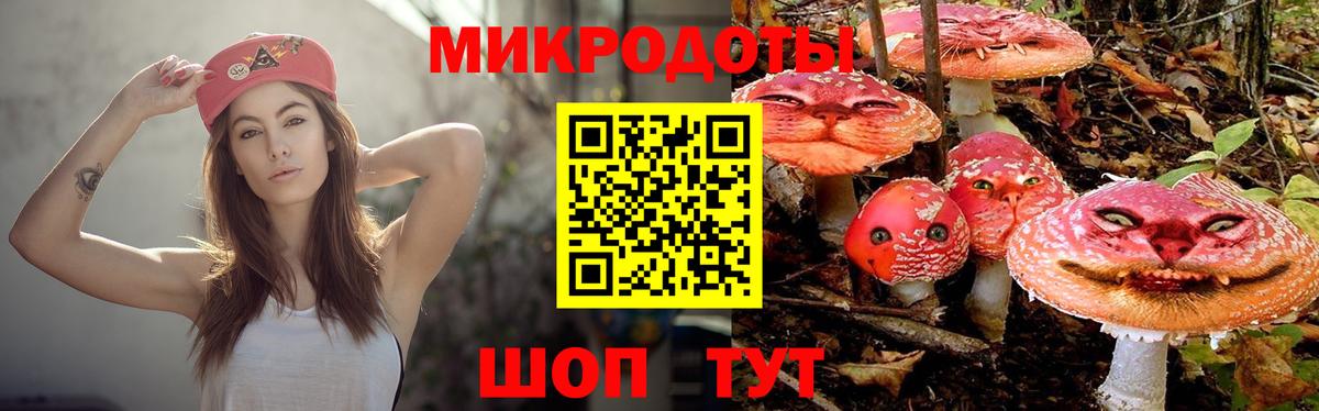 Галлюциногенные грибы Magic Shrooms  цены   Вход с VPN  Новодвинск  Псилоцибиновые грибы GOLDEN TEACHER 